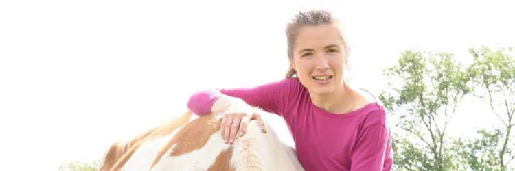 Rinder frontal