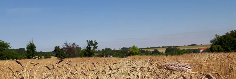 Emmerfeld