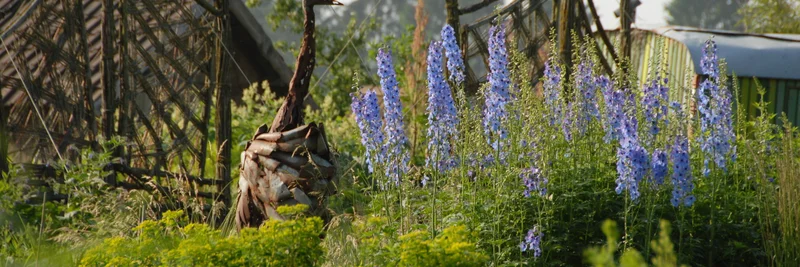 Staudengarten