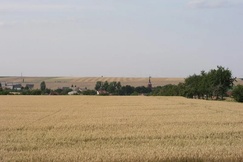 Feld an Dorfrand. Klick führt zu Großansicht in neuem Fenster.