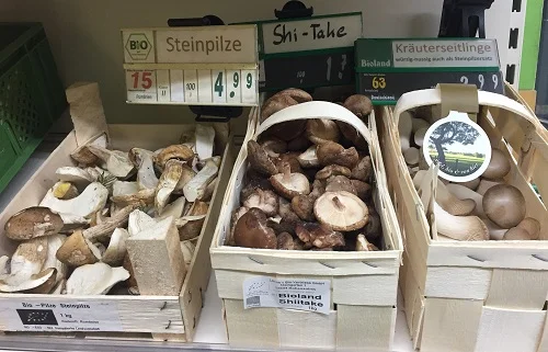 Biopilze in Körben im Laden. Klick führt zu Großansicht im neuen Fenster.