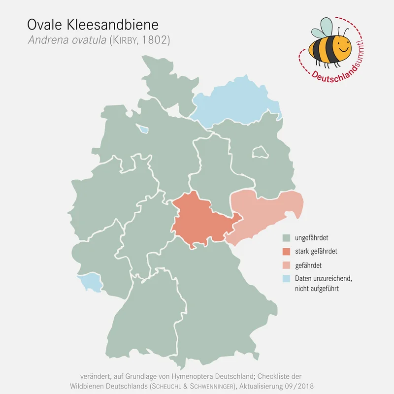 Nachweiskarte und Gefährdung der Ovalen Kleesandbiene. Klick führt zu Großansicht in einer Lightbox. Zum Schließen der Lightbox ESC drücken.