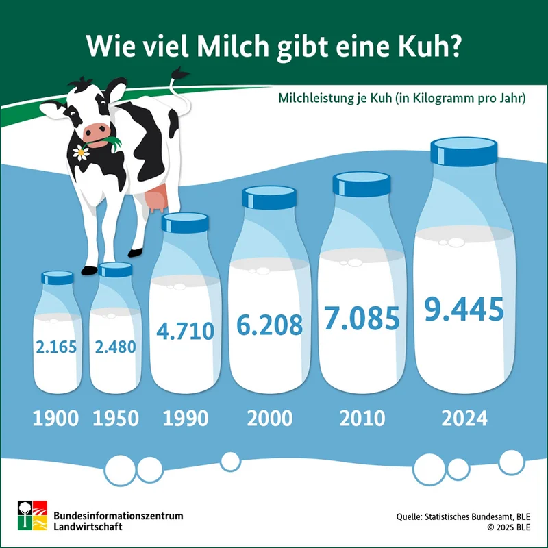 Grafik: Milchleistung von 1950 bis 2024. Klick führt zu Großansicht in neuem Fenster.