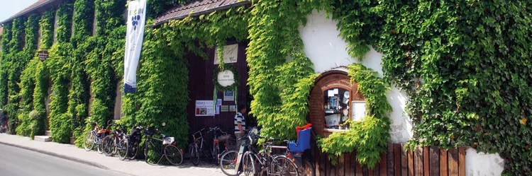 Bewachsenes Haus