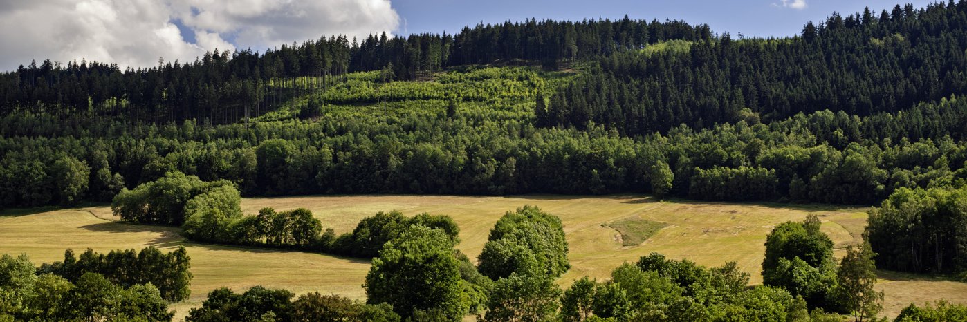 Thüringer Landschaft mit Wald und Feldern.
