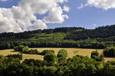 Bio in Thüringen: Perspektiven für Handel und Vermarktung