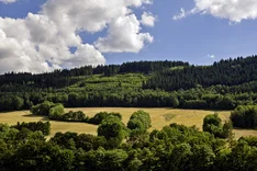 Bio in Thüringen: Perspektiven für Handel und Vermarktung