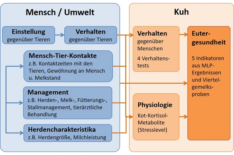 Tabelle, Klick führt zu Großansicht im neuen Fenster
