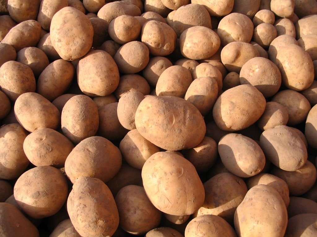 Kartoffeln