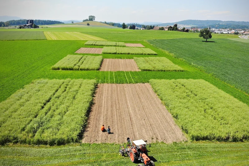 Demoparzellen auf einem Acker aus der Vogelperspektive