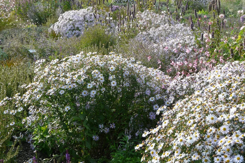 Blühendes Staudenbeet. Foto: Staudengärtnerei Gaißmayer