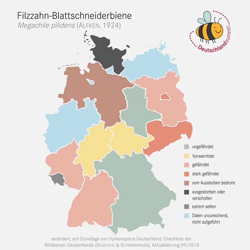 Verbreitungskarte der Filzzahn-Blattschneiderbiene in Deutschland. Klick führt zu Großansicht in einer Lightbox. Zum Schließen der Lightbox ESC drücken.