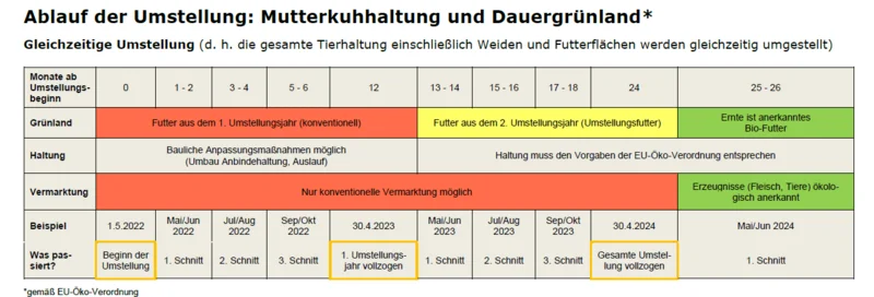 Grafik des Umstellungszeitplans