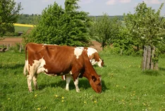 Biohof Tewes