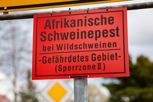 Ein rotes Warnschild mit den Hinweis „Afrikanische Schweinepest bei Wildschweinen – Gefährdetes Gebiete (Sperrzone II) ist unterhalb eines Ortsschilds angebracht. Klick führt zu Großansicht in neuem Fenster.