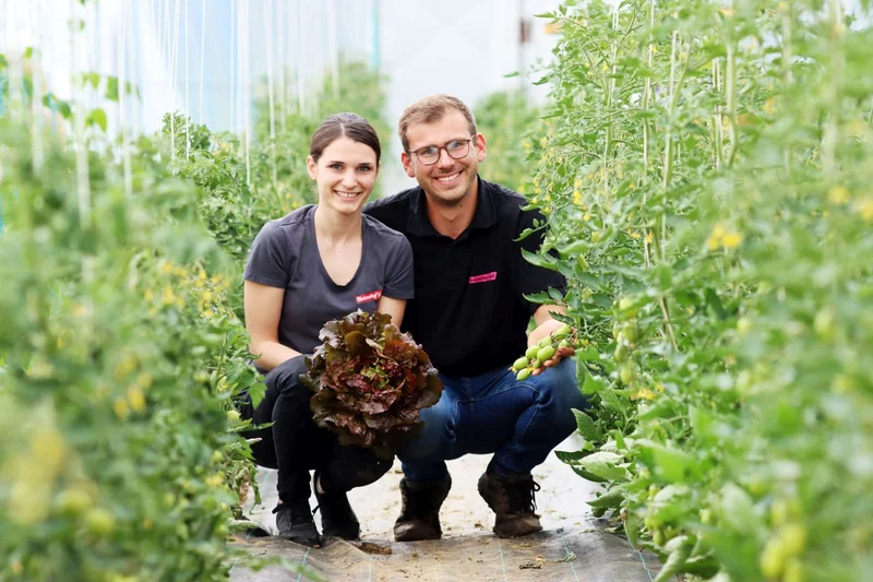 Ehepaar Gruel hockend zwischen Tomatenpflanzen.