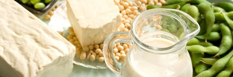 Tofu, Sojabohnen und ein Glas Milch auf einem Teller.