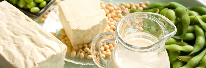 Tofu, Sojabohnen und ein Glas Milch auf einem Teller.