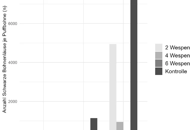 Grafik zur Effizienz der Grabwespe P. lethifer zur Blattlausbekämpfung. Klick führt zu Großansicht in einer Lightbox. Zum Schließen der Lightbox ESC drücken.