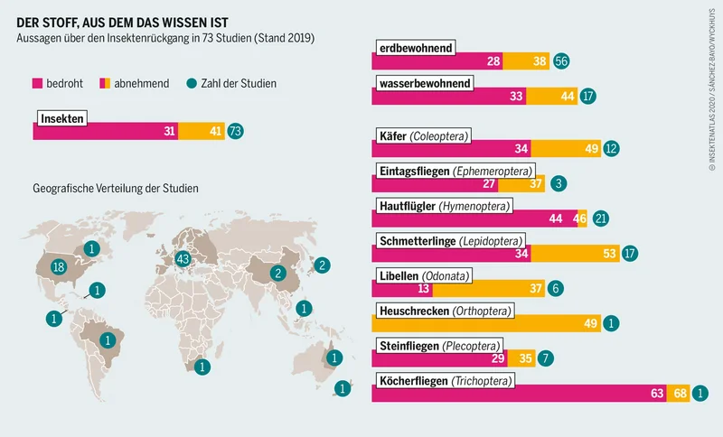 Grafik zum Rückgang der Insekten weltweit. Klick führt zu Großansicht in neuem Fenster.