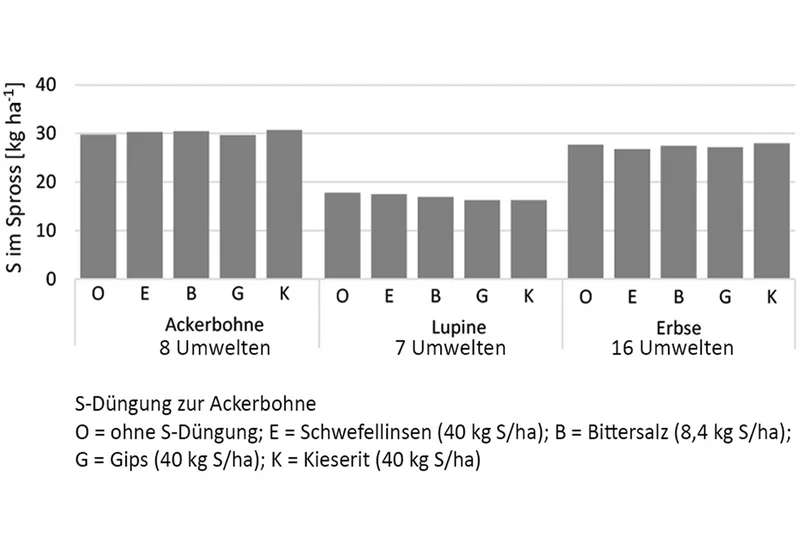 Abildung 1: Einfluss von Schwefeldüngung auf Kornertrag von Körnerleguminosen Diagramm