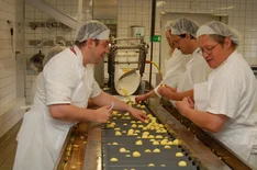 Geschälte Kartoffeln auf Band für die Weiterverarbeitung. Klick führt zu Großansicht in neuem Fenster.