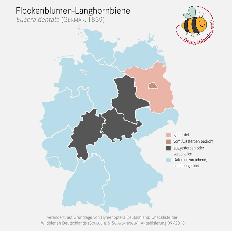 Nachweiskarte und Gefährdung der Flockenblumen-Langhornbiene. Klick führt zu Großansicht in neuem Fenster.