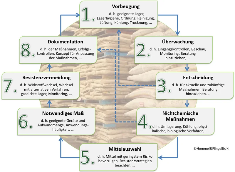 Grafik: Die acht allgemeinen Grundsätze des integrierten Pflanzenschutzes. Klick führt zu Großansicht in neuem Fenster.