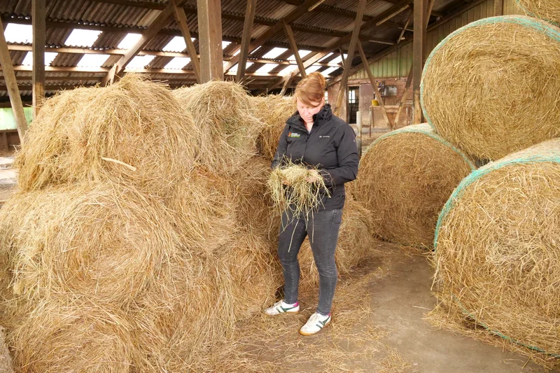 Frau steht vor Rundballen. 
