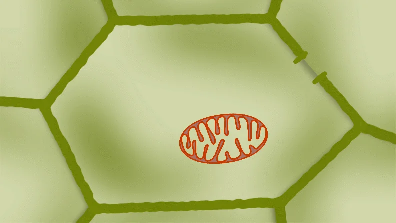 Animiertes Gif