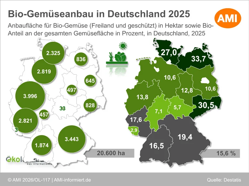 Karte von Deutschland zum Bio-Gemüseanbau 2025, die die Anbauflächenanteile je Bundesland in Prozent sowie die absoluten Hektarzahlen für Freiland- und geschützten Anbau in verschiedenen Grüntönen und grauen Vergleichsflächen darstellt.