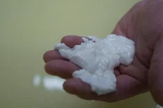 Ziegenkäsequalität beginnt bei der Milch
