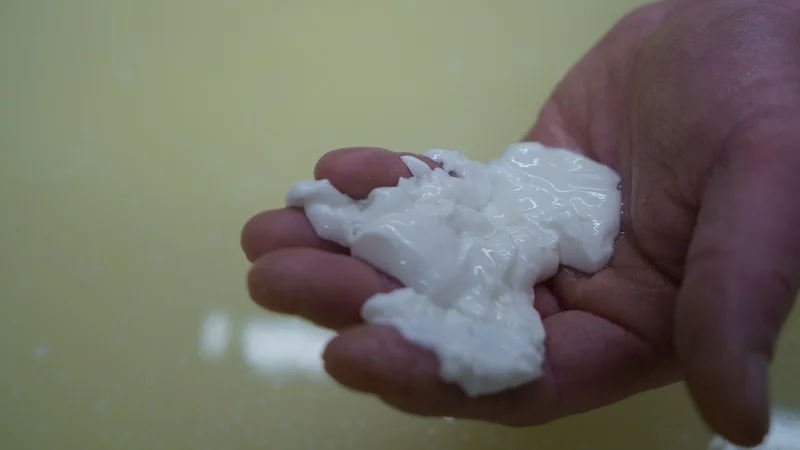 Ziegenkäsequalität beginnt bei der Milch