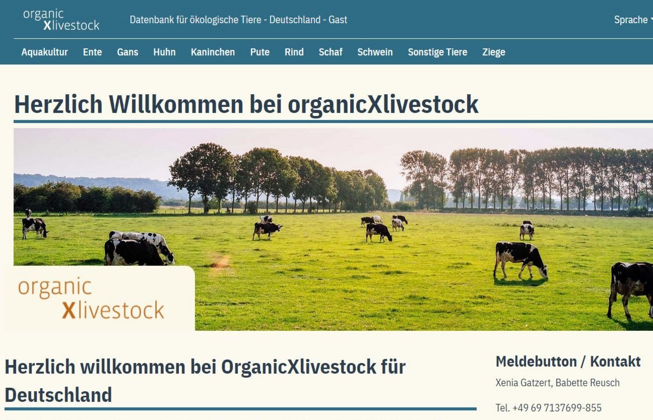 Screenshot der Home von organicxlivestock.de. Klick führt zu Großansicht im neuen Fenster.