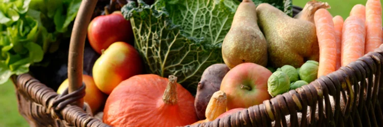 Korb mit Obst und Gemüse