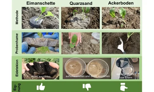 Verschiedene Methoden zur Überwachung der Eiablage. Klick führt zu Großansicht im neuen Fenster.