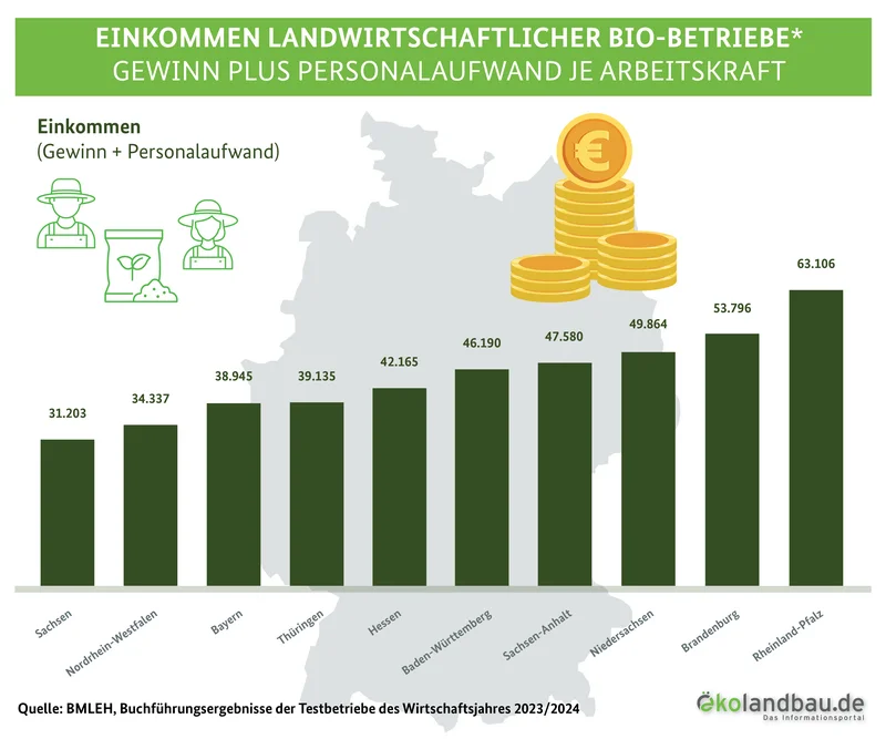Grafik zum Einkommen landwirtschaftlicher Bio-Betribe geordnet nach Höhe. Von links an sind die Bundesländer mit dem niedrigsten Einkommen angeordnet. Rechts die Bundesländer mit den höchsten Einkommen. Einkommen bedeutet hier Gewinn plus Personalaufwand je Arbeitskraft. Klick führt zu Großansicht.