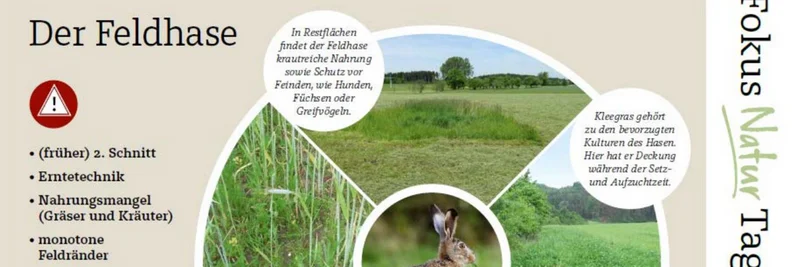 Ausschnitt Infoblatt