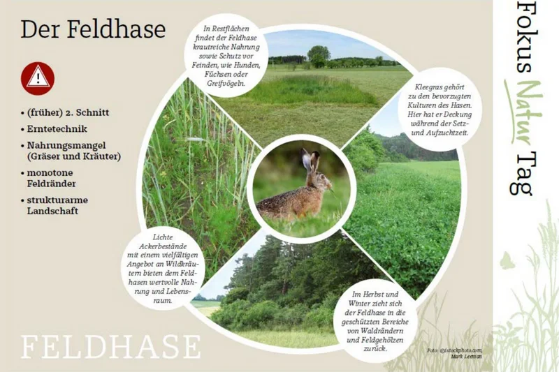 Mehr Naturschutz für landwirtschaftliche Betriebe