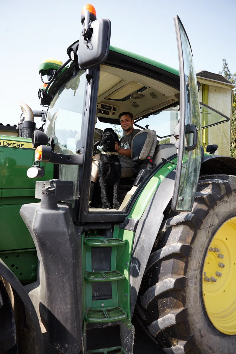 Mann auf Traktor