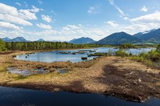Moorlandschaft