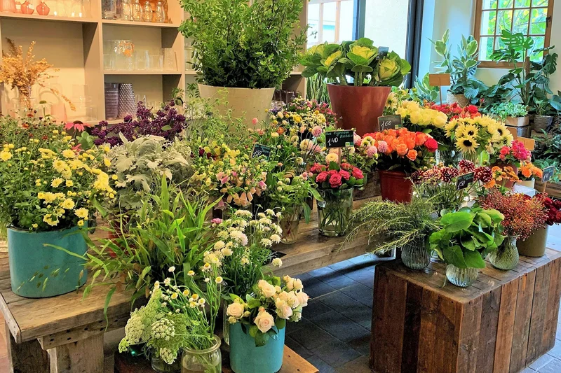 Blumenladen. Klick führt zu Großansicht im neuen Fenster.