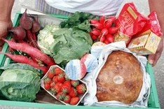Projekt InnOFoodLabs: Neue Wege für regionale Bio-Lebensmittel