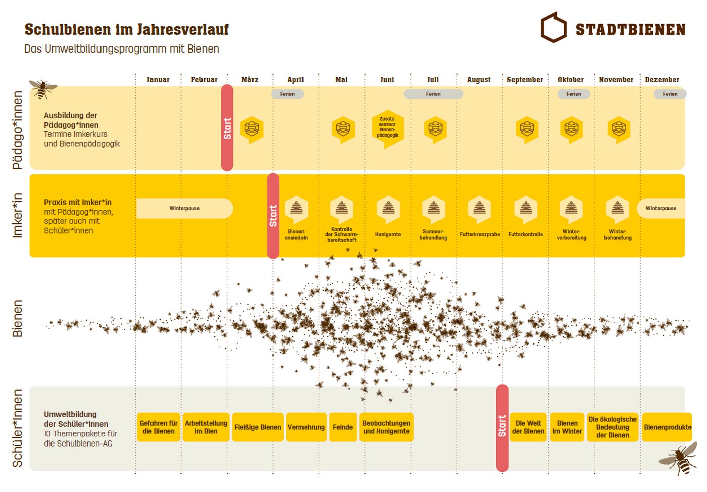 Schaubild Schulbienenjahr. Klick führt zu Großansicht in neuem Jahr.