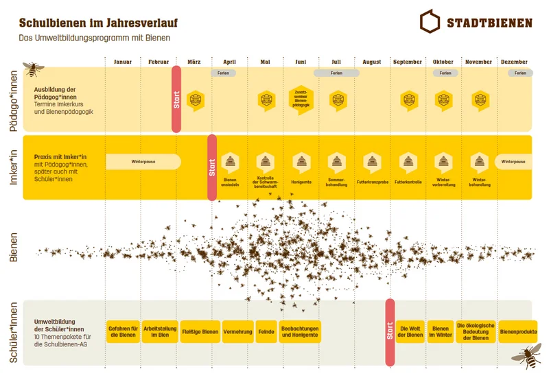 Schaubild Schulbienenjahr. Klick führt zu Großansicht in neuem Jahr.