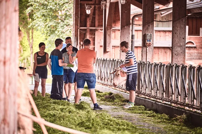 Junge Menschen, wie sie im Futtergang eines Rinderstalls stehen.