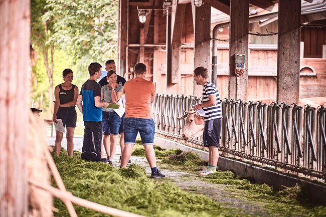 Junge Menschen, wie sie im Futtergang eines Rinderstalls stehen.