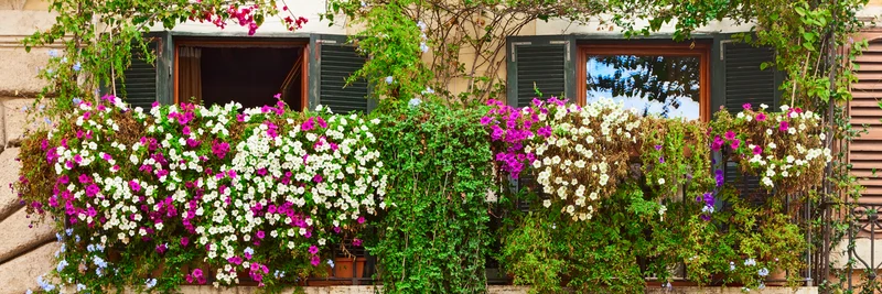 Balkonkasten mit bunten Blumen. Klick führt zu Großansicht im neuen Fenster.