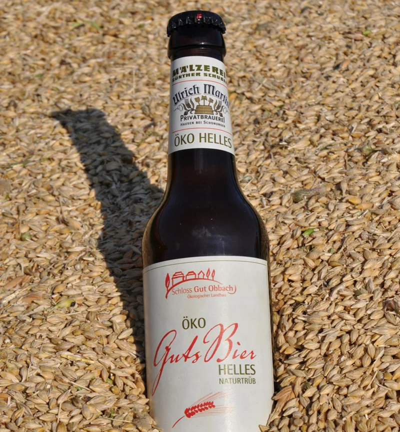 Bierflasche in Braugerste. Klick führt zu Großansicht in neuem Fenster.