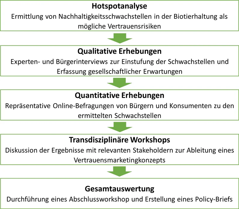 Aufbau der Projektschritte. Klick führt zu Großansicht in einer Lightbox. Zum Schließen der Lightbox ESC drücken.